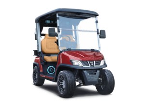 Tara Roadster 2 Seater Evolution Lithium Golf Cart Red